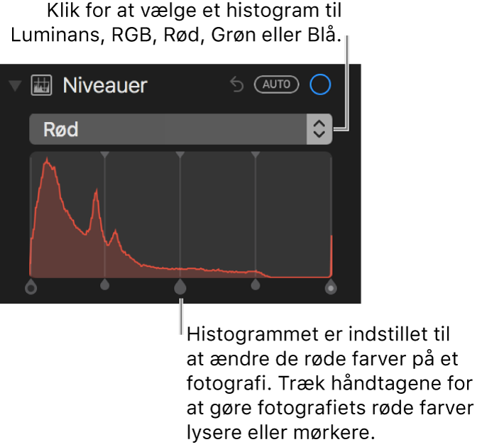 Betjeningsmulighederne for niveau og histogram til ændring af de røde toner i et fotografi.