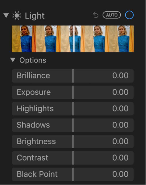 The Light area of the Adjust pane showing sliders for Brilliance, Exposure, Highlights, Shadows, Brightness, Contrast and Black Point.