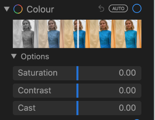 The Colour area of the Adjust pane showing sliders for Saturation, Contrast and Cast.
