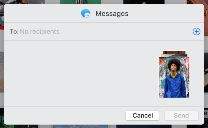 A dialogue for adding recipients when sharing photos from the Photos app using Messages.