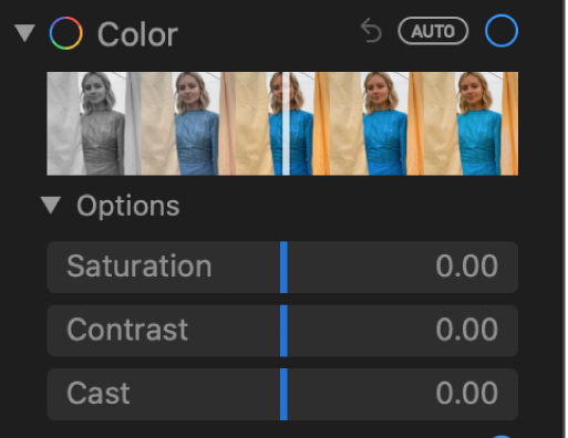 The Color area of the Adjust pane showing sliders for Saturation, Contrast, and Cast.