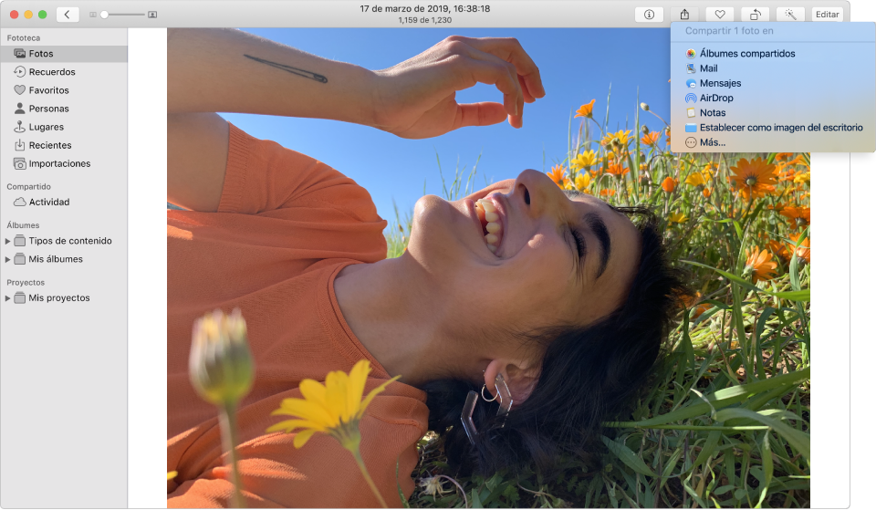 La ventana Fotos mostrando una foto y el menú Compartir con el comando Álbumes compartidos seleccionado.