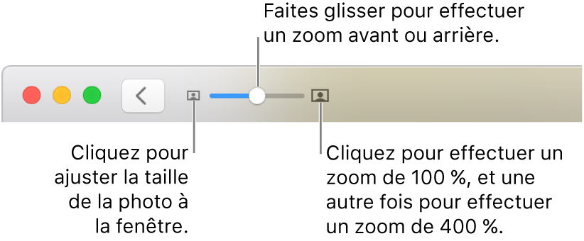 La barre d’outils affichant les commandes Réduire/agrandir.