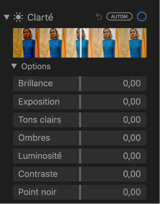 La zone Clarté de la sous-fenêtre Ajuster présentant les curseurs Brillance, Exposition, Tons clairs, Ombres, Luminosité, Contraste et Point noir.