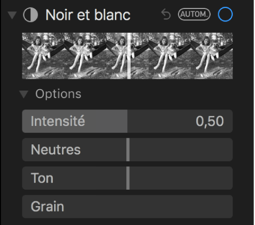 La zone Noir et blanc de la sous-fenêtre Ajuster présentant les curseurs Intensité, Neutres, Ton et Grain.