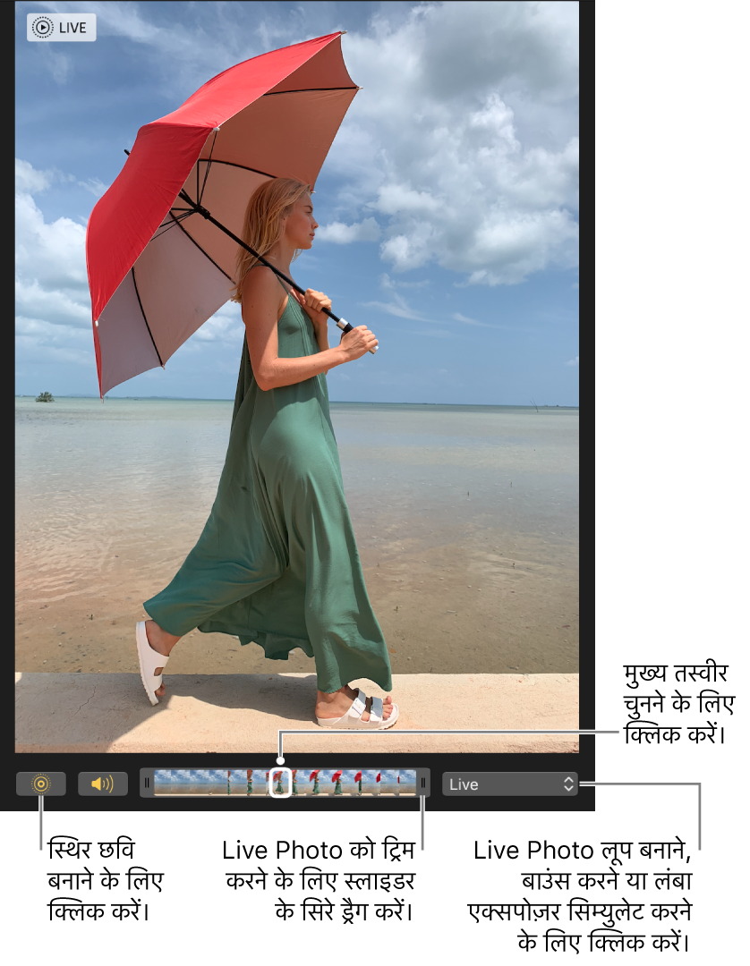 संपादन दृश्य में Live Photo जिसके नीचे स्लाइडर तस्वीर के फ़्रेम दिखा रहा है। Live Photo बटन और स्पीकर बटन स्लाइडर के बाईं ओर हैं और दाईं ओर पॉप-अप मेनू है जिसका उपयोग आप लूप, बाउंस या लंबा एक्सपोज़र प्रभाव जोड़ने के लिए कर सकते हैं।