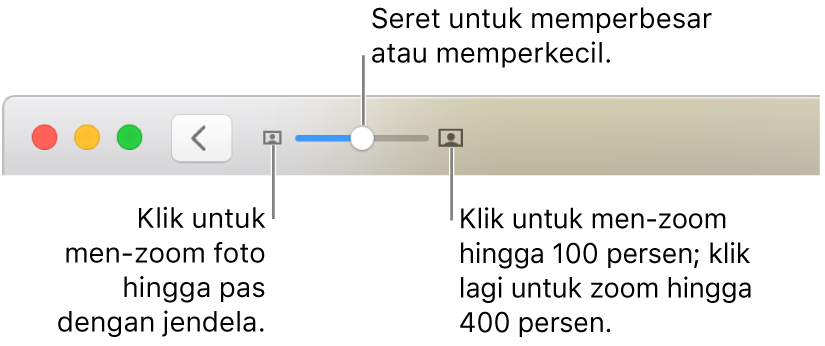 Bar alat menampilkan kontrol zoom.