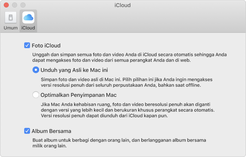 Panel iCloud pada preferensi Foto.