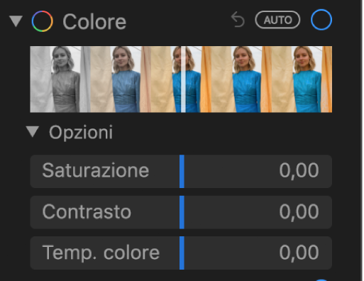 L’area Colore del pannello Regola con i cursori Saturazione, Contrasto e “Temp. colore”.