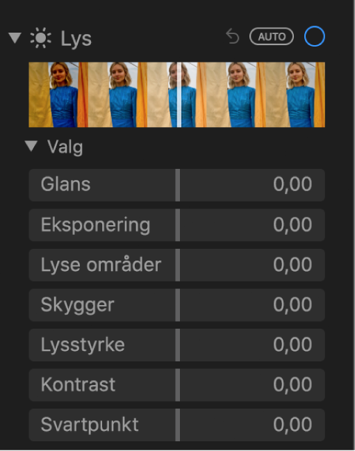 Lys-området i Juster-panelet som viser skyveknapper for Glans, Eksponering, Lyse områder, Skygger, Lysstyrke, Kontrast og Svartpunkt.
