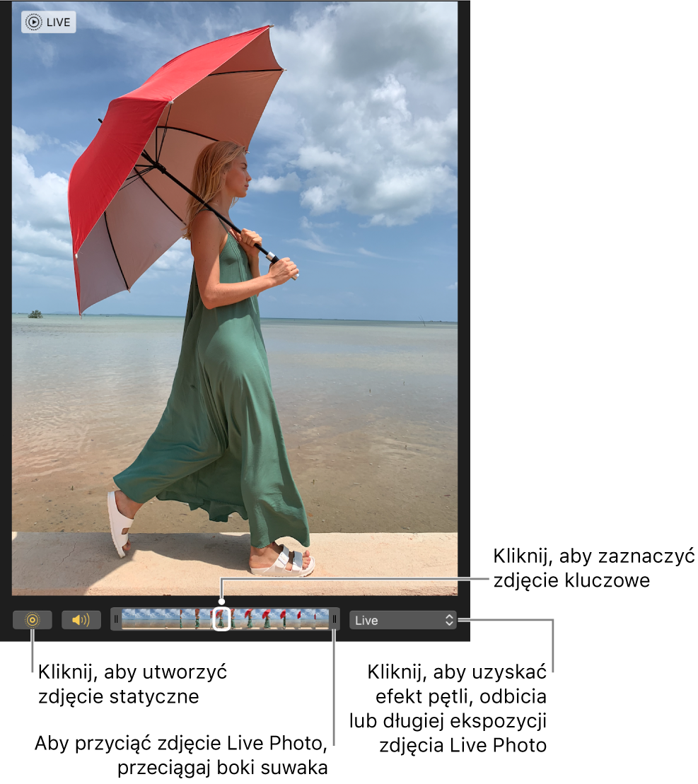 Zdjęcie Live Photo w widoku edycji z widocznym poniżej suwakiem zawierającym klatki zdjęcia. Przyciski Live Photo oraz Głośnik znajdują się po lewej stronie suwaka, natomiast po prawej stronie jest menu, którego możesz użyć do wybrania efektu pętli, odbicia lub długiej ekspozycji.