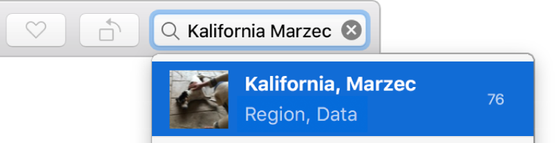 Pole wyszukiwania z wpisanymi kryteriami wyszukiwania oraz jedną sugestią widoczną poniżej tego pola.