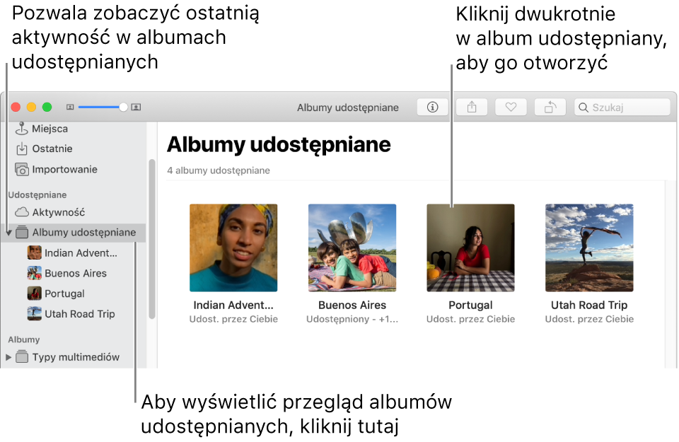 Panel Albumy udostępniane w oknie aplikacji Zdjęcia zawierający albumy udostępniane.