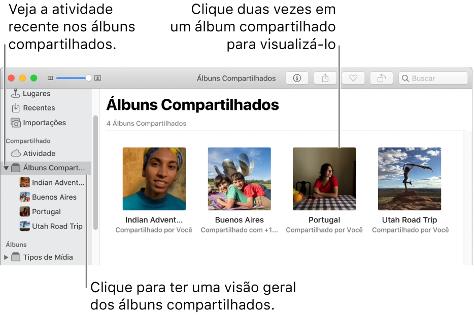 O painel Álbuns Compartilhado da janela do Fotos, exibindo álbuns compartilhados.