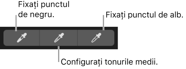 Trei pipete utilizate pentru a selecta punctul de negru, tonurile medii și punctul de alb al pozei.