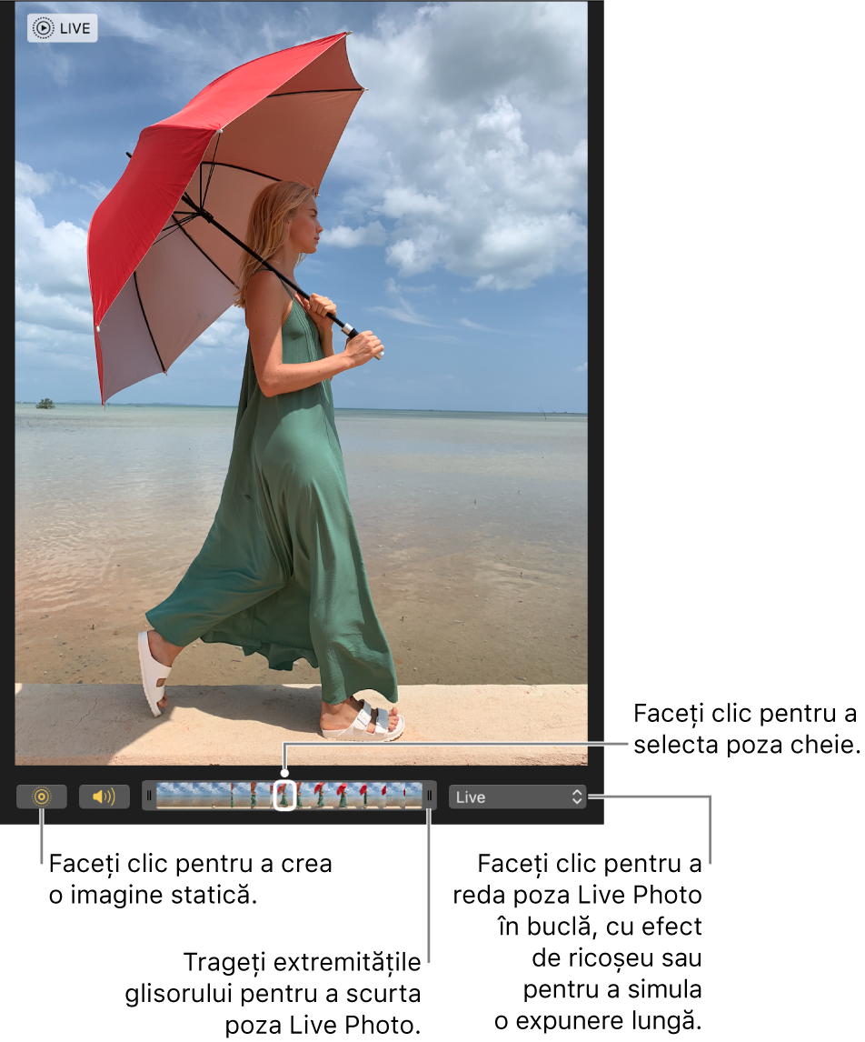 O poză Live Photo în vizualizarea de editare, având dedesubt un glisor care afișează cadrele pozei. Butonul Live Photo și Difuzor sunt în partea stângă a glisorului, iar în dreapta se află un meniu pop-up care poate fi utilizat pentru a adăuga un efect de repetare în buclă, de ricoșeu sau de expunere lungă.