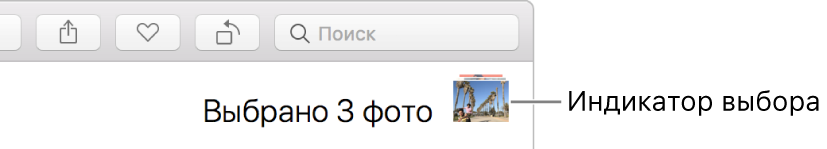 Индикатор выбора показывает, что выбраны три фотографии.
