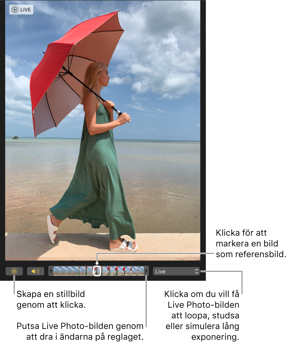 En Live Photo-bild i redigeringsvyn med ett reglage under som visar bildens kanter. Live Photo-knappen och högtalarknappen sitter till vänster om reglaget, till höger finns en popupmeny som du kan använda till att lägga till en loopeffekt, studseffekt eller lång exponeringseffekt.