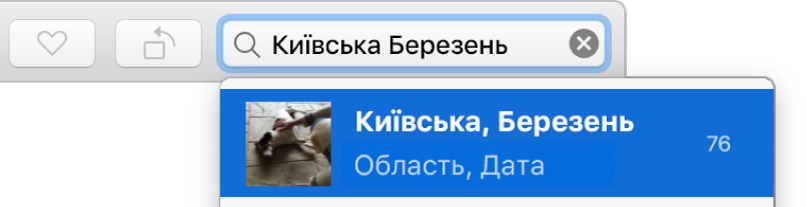 Поле пошуку із введеними критеріями пошуку та одина пропозиція запиту, яка відображається під полем.