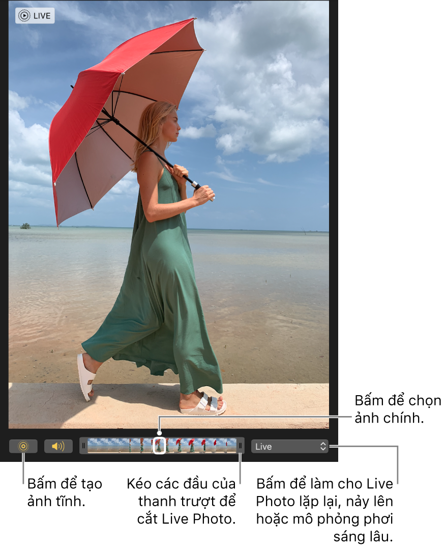 Live Photo trong chế độ sửa với thanh trượt bên dưới đang hiển thị các khung của ảnh. Nút Live Photo và nút Loa nằm ở bên trái của thanh trượt và ở bên phải của thanh trượt là menu bật lên mà bạn có thể sử dụng để thêm hiệu ứng lặp lại, nảy lên hoặc phơi sáng lâu.