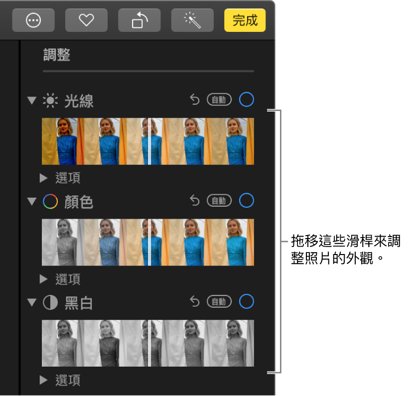 「調整」面板中的「光線」、「顏色」或「黑白」滑桿。每個滑桿上都有一個「自動」按鈕。