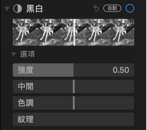 「調整」面板的「黑白」區域會顯示「強度」、「中間」、「色調」和「紋理」的滑桿。