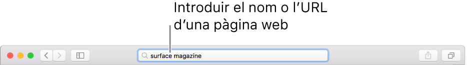El camp de cerca intel·ligent situat a la part central de la barra d’eines del Safari.