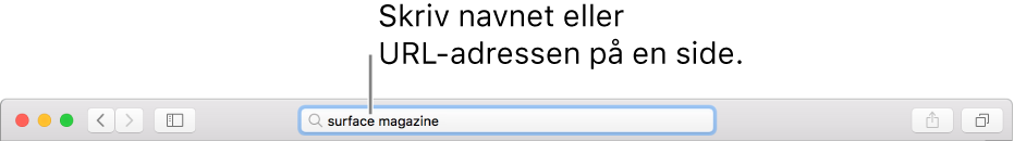 Smart søgefelt midt på Safari-værktøjslinjen.