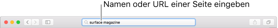 Das intelligente Suchfeld befindet sich in der Mitte der Safari-Symbolleiste.