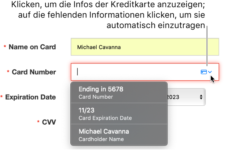 Kreditkarteninformationen mit fehlendem Detail und den verfügbaren Optionen der Einstellung „Automatisch ausfüllen“.