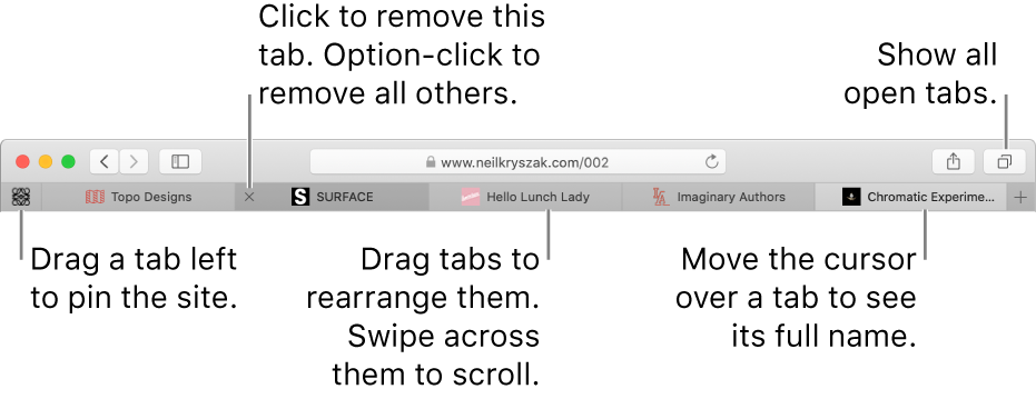 The Safari window with tabs.