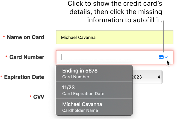 Credit card info that’s missing a detail, with autofill showing the available choices.