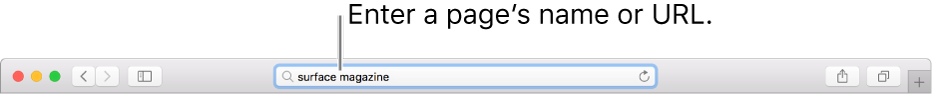 Smart Search field located in the middle of the Safari toolbar.