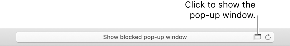 Smart Search field showing an icon on the right to allow pop-up windows.