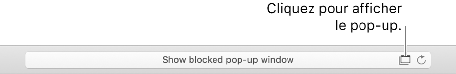 Champ de recherche intelligente avec une icône permettant d’autoriser les pop-up sur la droite.