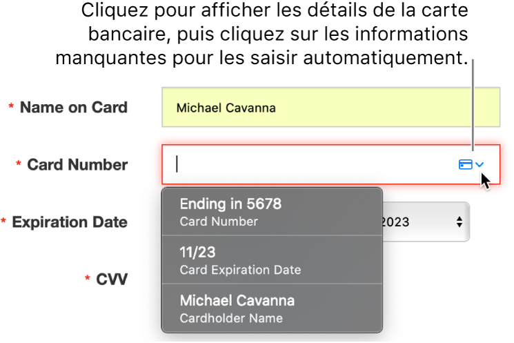Informations de carte bancaire avec un détail manquant, avec le remplissage automatique affichant les choix disponibles.