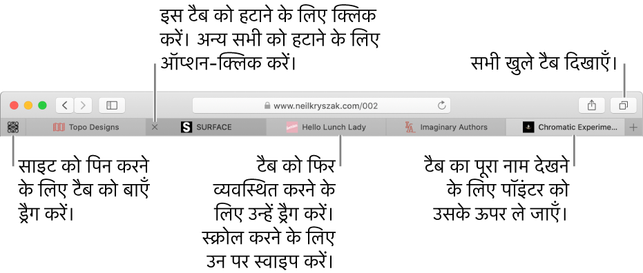 टैब वाली Safari विंडो.