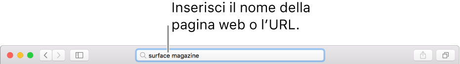 Campo di ricerca smart al centro della barra degli strumenti di Safari.