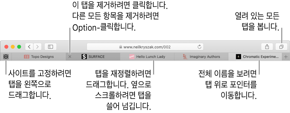 탭이 있는 Safari 윈도우.