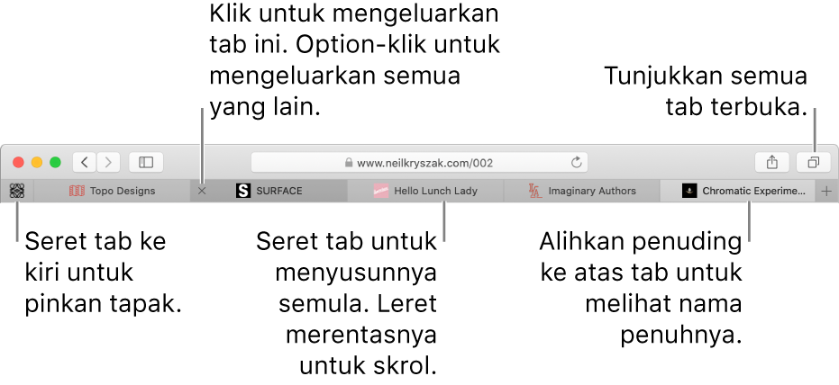 Tetingkap Safari dengan tab.