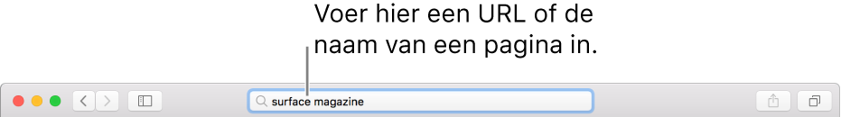 Het slimme zoekveld in het midden van de Safari-knoppenbalk.