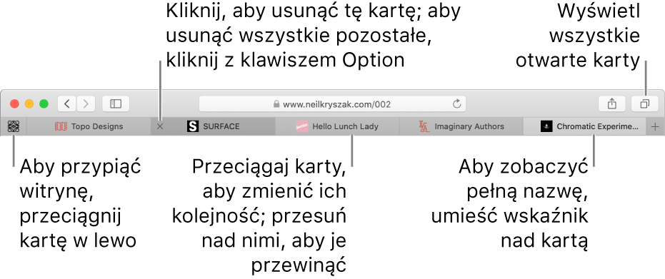 Okno Safari z kartami.