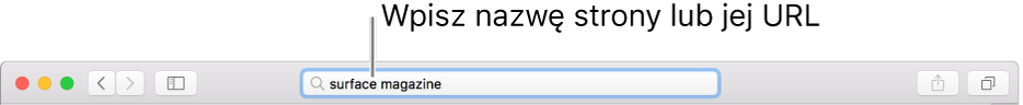 Inteligentne pole wyszukiwania znajdujące się na środku paska narzędzi Safari.