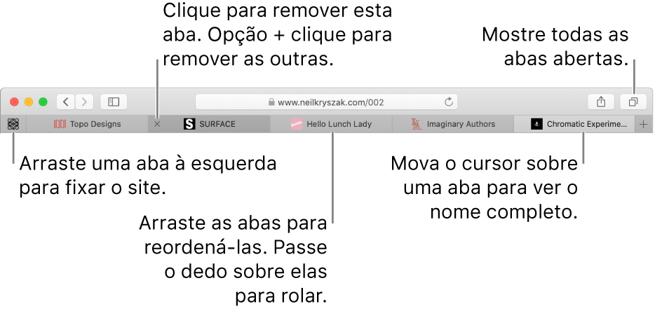 A janela do Safari com abas.