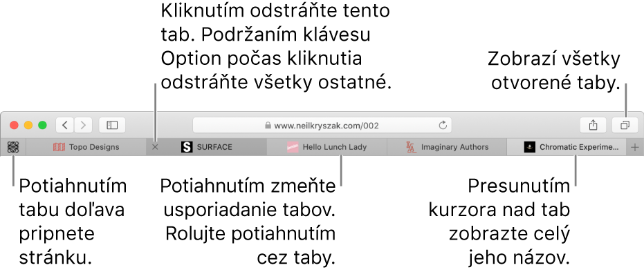 Okno Safari s tabmi.