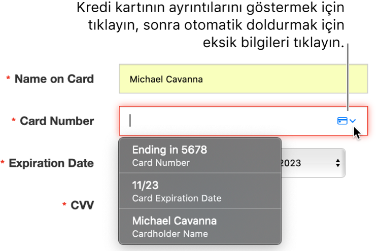 Ayrıntısı eksik olan kredi kartı bilgileri ve otomatik doldurma kullanılabilir seçenekleri gösteriyor.