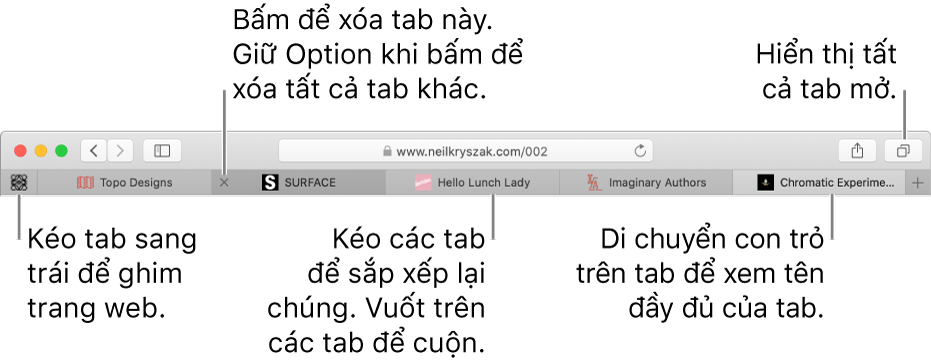 Cửa sổ Safari với các tab.