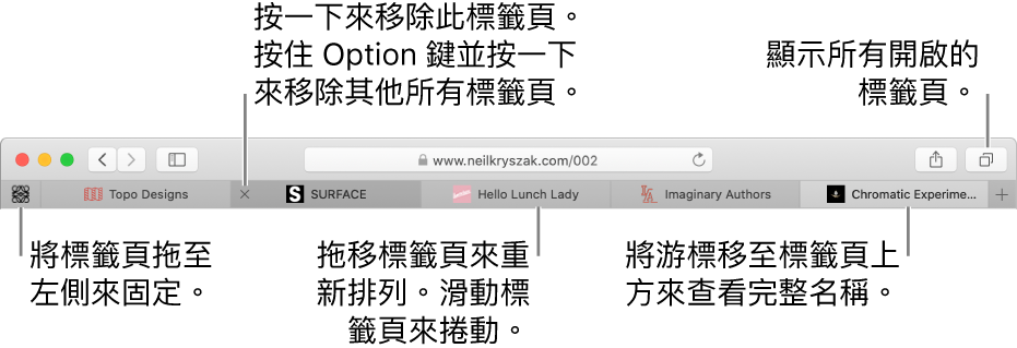 帶有標籤頁的 Safari 視窗。