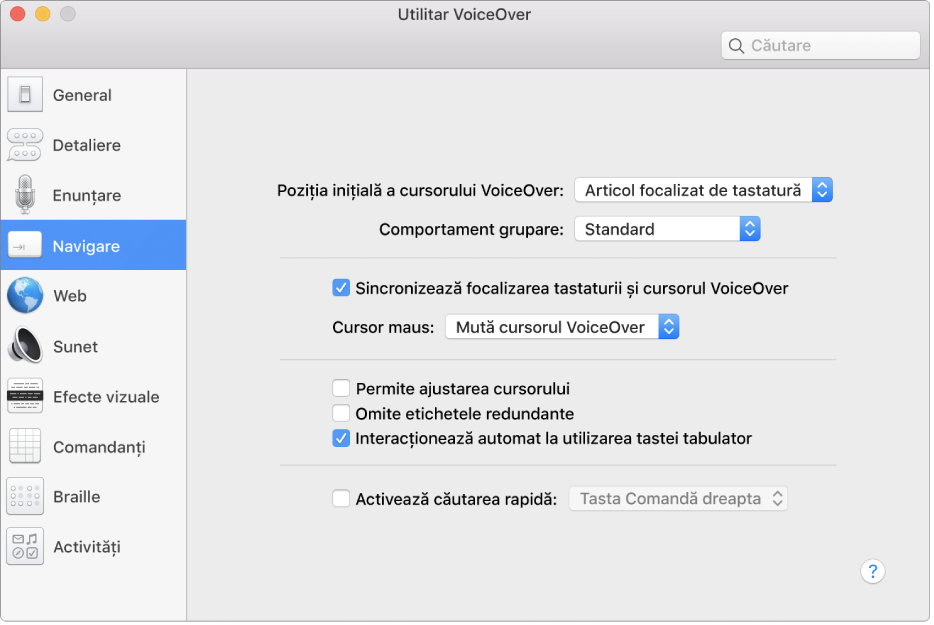Fereastra Utilitar VoiceOver afișând categoria Navigare selectată în bara laterală din stânga și opțiunile sale în partea dreaptă. În colțul din dreapta jos al ferestrei apare un buton Ajutor pentru a afișa subiectul de ajutor online VoiceOver, care explică diferitele opțiuni.