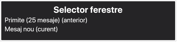 Selectorul de ferestre este un panou care afișează o listă de ferestre deschise în momentul respectiv.